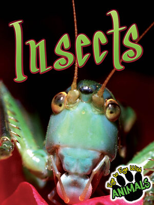 cover image of Insects